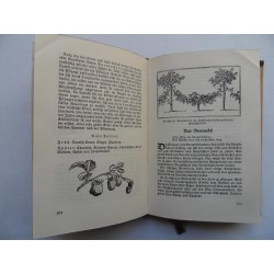 Das gelbe Gartenbuch - Jubiläumsausgabe (1936)