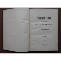 Psychologische Skizzen zur Einführung in die Psychologie (1905)
