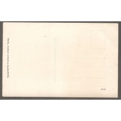AK - Eisstoss vor Stein a. D. - Februar - März 1929 - 81656 (NÖ) 