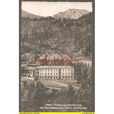 AK - Hotel - Restaurant Winterbach a. d. Mariazellerbahn mit Ötscher