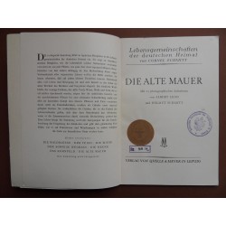 Die alte Mauer als Lebensgemeinschaft (Cornel Schmitt)