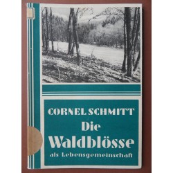 Die Waldblösse als Lebensgemeinschaft (Cornel Schmitt)