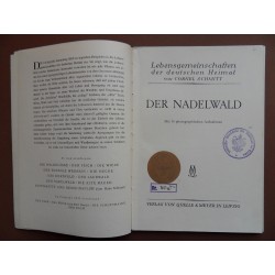 Der Nadelwald als Lebensgemeinschaft (Cornel Schmitt)