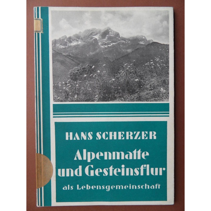 Alpenmatte und Gesteinsflur als Lebensgemeinschaft (Hans Scherzer) Alpenmatte und Gesteinsflur als Lebensgemeinschaft (Hans Scherzer)