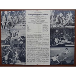NFP Nr. 6537 - Dschungelmädchen für zwei Halunken (1974)