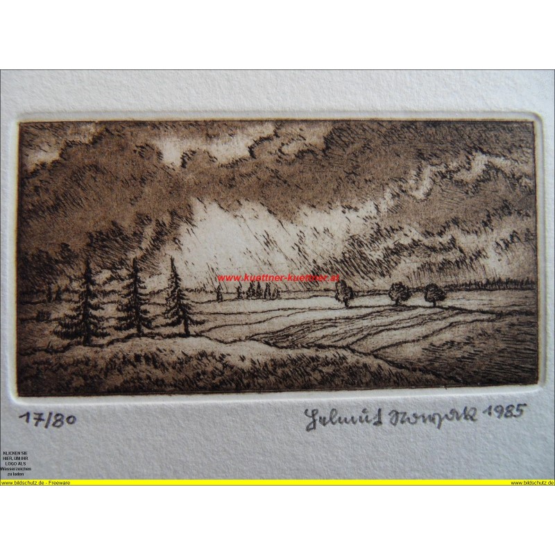 Radierung von Helmut Nowak / signiert und datiert / 17/80 / 1985