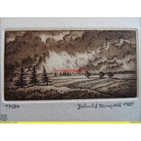 Radierung von Helmut Nowak / signiert und datiert / 17/80 / 1985