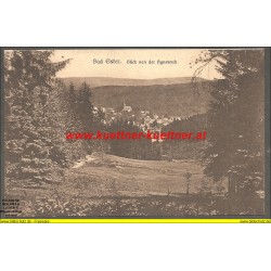 AK - Bad Elster - Blick von der Agnesruh