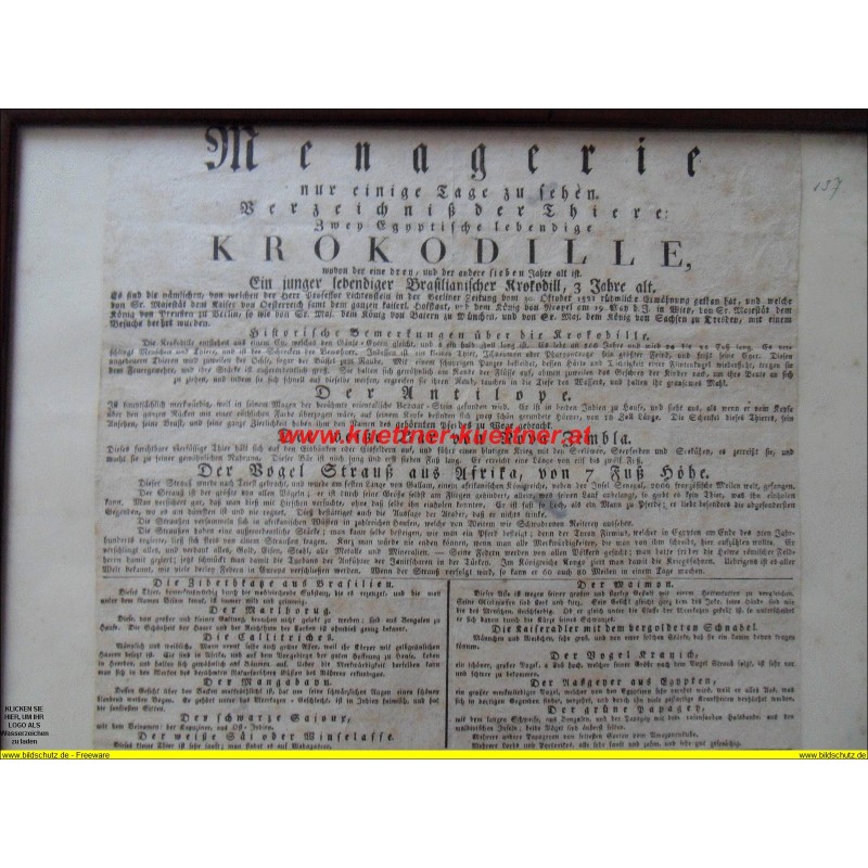 Ankündigungszettel - Menagerie nur einige Tage zu sehen (um 1820)