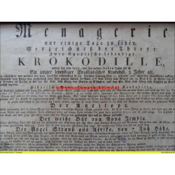 Ankündigungszettel - Menagerie nur einige Tage zu sehen (um 1820)