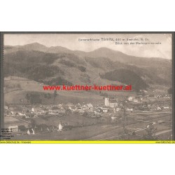 AK - Sommerfrische Türnitz - 1911