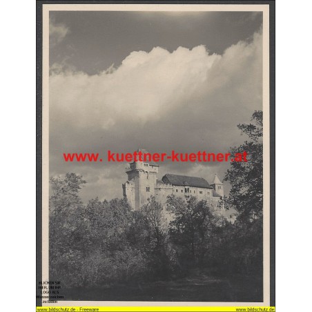 Foto - Burg Liechtenstein