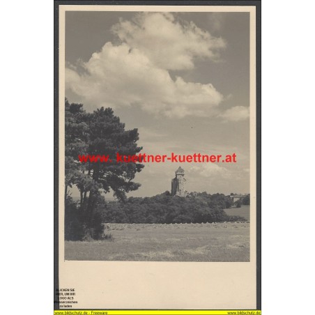 Foto - Burg Liechtenstein