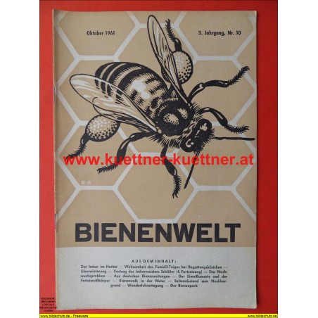 Bienenwelt 3. Jg. Nr. 10 - Oktober 1961