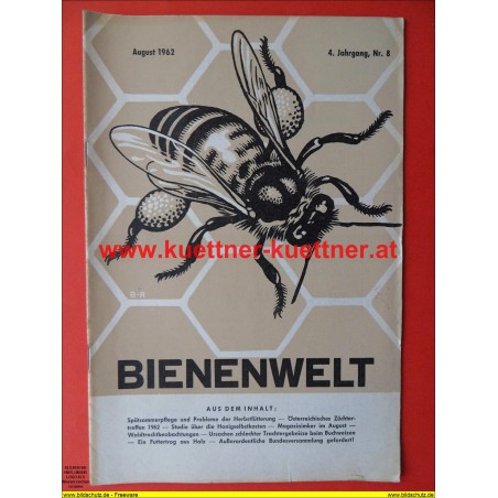 Bienenwelt 4. Jg. Nr. 8 - August 1962