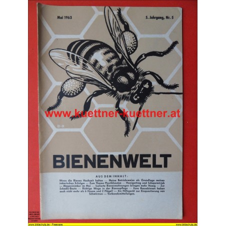 Bienenwelt 5. Jg. Nr. 5 - Mai 1963
