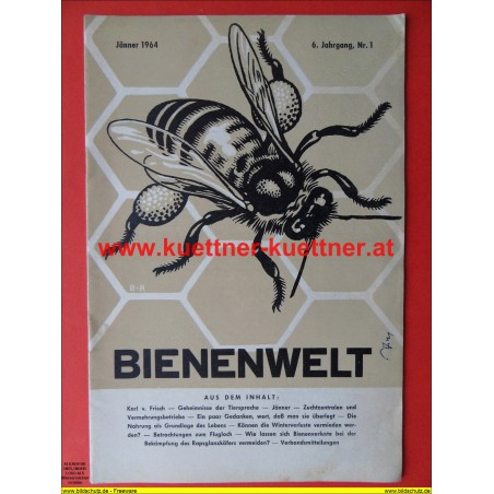 Bienenwelt 6. Jg. Nr. 1 - Jänner 1964