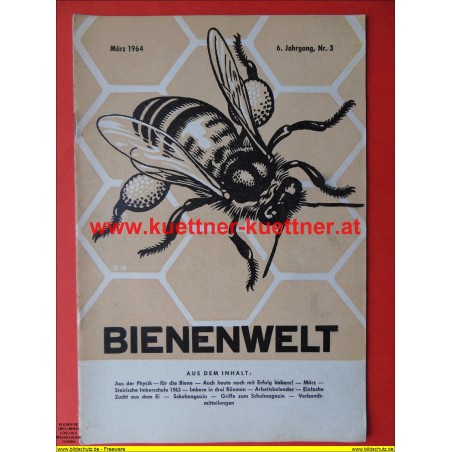 Bienenwelt 6. Jg. Nr. 3 - März 1964