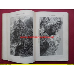 Bilder-Atlas zur Pflanzengeographie (1899)
