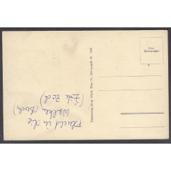 AK - Heidenreichstein N. D. Schloss