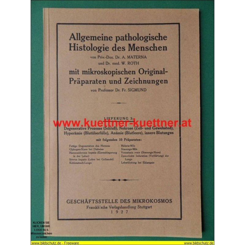 Allgemeine pathologische Histologie des Menschen. Lfg. 3 (1927) Allgemeine pathologische Histologie des Menschen. Lfg. 3 (1927)