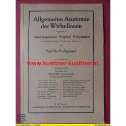 Allgemeine Anatomie der Wirbellosen.  Lfg. 3 und 4