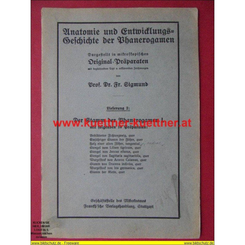 Anatomie und Entwicklungs-Geschichte der Phanerogamen Lieferung 2 Anatomie und Entwicklungs-Geschichte der Phanerogamen Lieferung 2