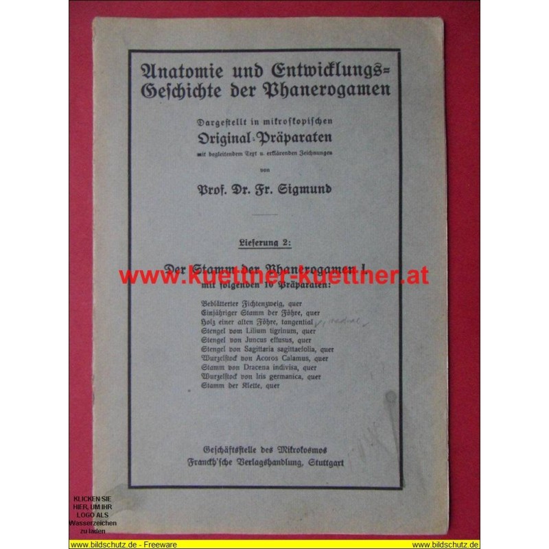 Anatomie und Entwicklungs-Geschichte der Phanerogamen Lieferung 2  