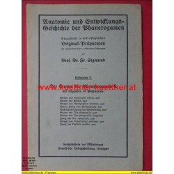 Anatomie und Entwicklungs-Geschichte der Phanerogamen Lieferung 3