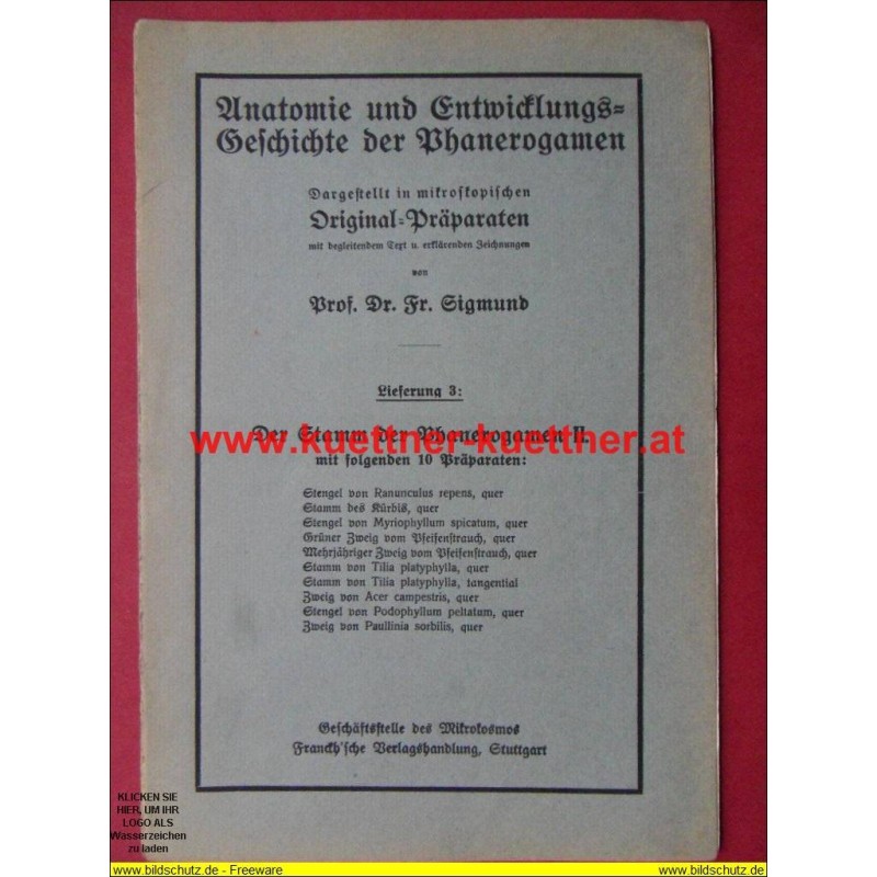 Anatomie und Entwicklungs-Geschichte der Phanerogamen Lieferung 3 Anatomie und Entwicklungs-Geschichte der Phanerogamen Lieferung 3