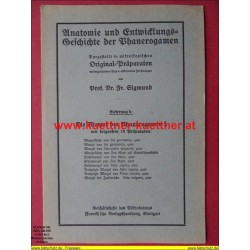 Anatomie und Entwicklungs-Geschichte der Phanerogamen Lieferung 4