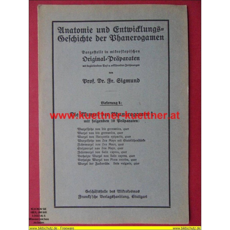 Anatomie und Entwicklungs-Geschichte der Phanerogamen Lieferung 4