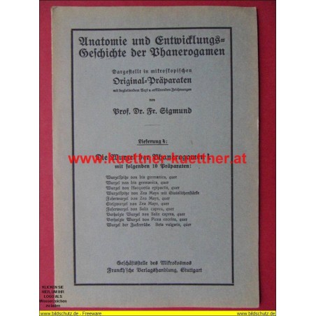 Anatomie und Entwicklungs-Geschichte der Phanerogamen Lieferung 4