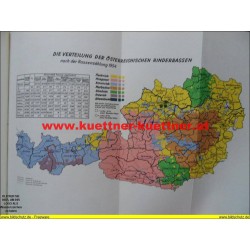 Die Rinderzucht in Österreich von Dr. Wilhelm Müller (1958)