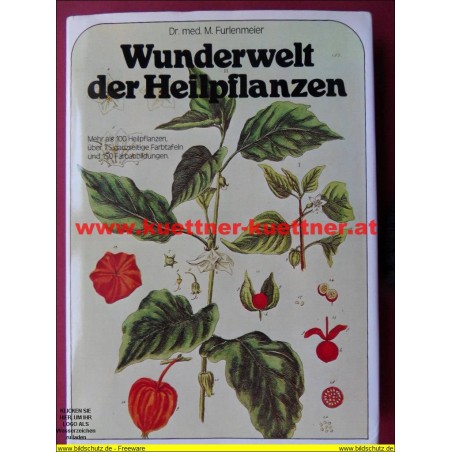 Wunderwelt der Heilpflanzen