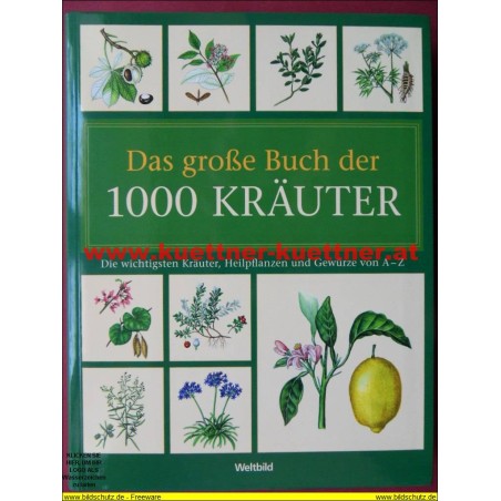 Das große Buch der 1000 Kräuter