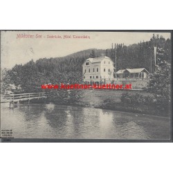 AK - Millstätter See - Seebrücke, Hotel Tannenheim