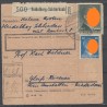 Paketkarte Heidelberg-Schlierbach nach Gleiß-Rosenau