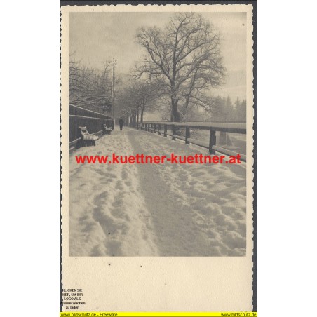 AK - Lienz - Verschneide Promenade