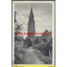 AK - Rheine i. W. - Basilika