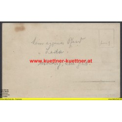 K.u.k. Foto Oblt. Makk eigenes Pferd Leda (TrainDiv. Nr.12)