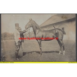 K.u.k. Foto Oblt. Makk eigenes Pferd Leda (TrainDiv. Nr.12)