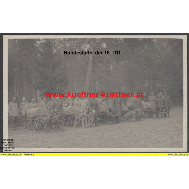 K.u.k. Foto - Hundestaffel bei der 16 ITD.