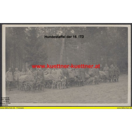 K.u.k. Foto - Hundestaffel bei der 16 ITD.