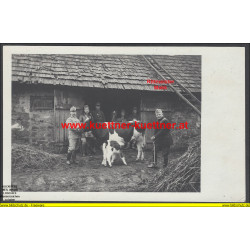 K.u.k. Foto - Rittm. Makk bei seiner Landwirtschaft (1915)