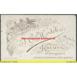 CdV - Dame mit Hut und Schirm Photo Hodek, Krems a. d. D.