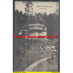 AK - Pension Wolfsberg - Semmering (NÖ)