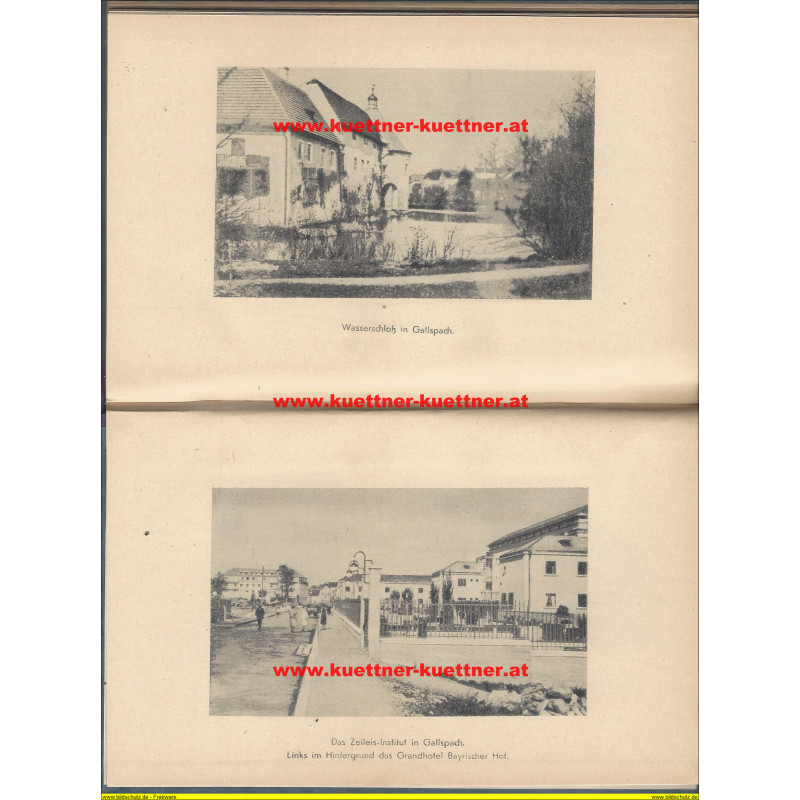 Zeileis von Anton Stieger