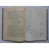 Mitteilungen der Anthropologischen Gesellschaft in Wien 1907