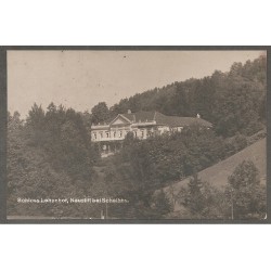 AK - Neustift bei Scheibbs - Schloss Lehenhof